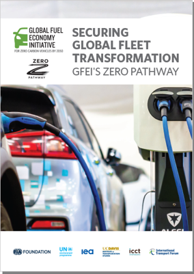 GFEI Zero Pathway report