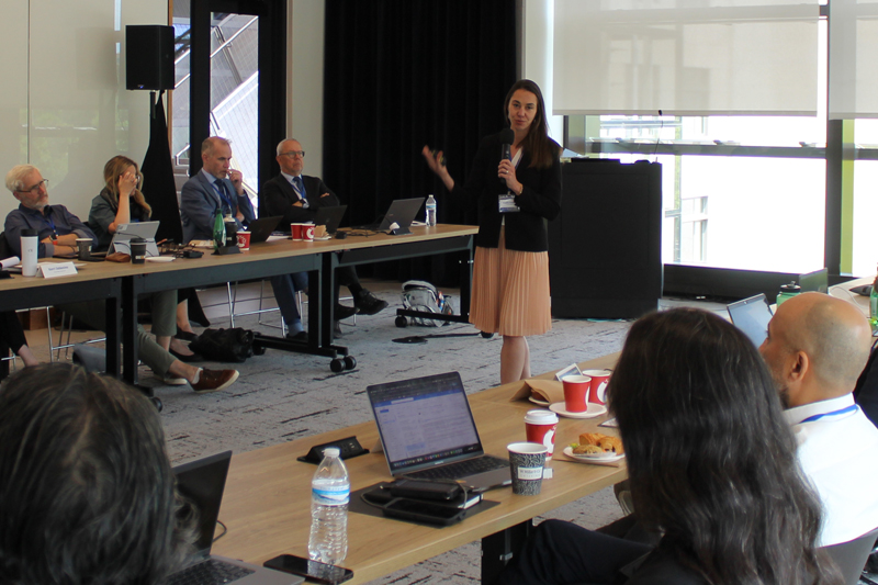 Natalie Draisin presented an overview of the Decade of Action for Road Safety.